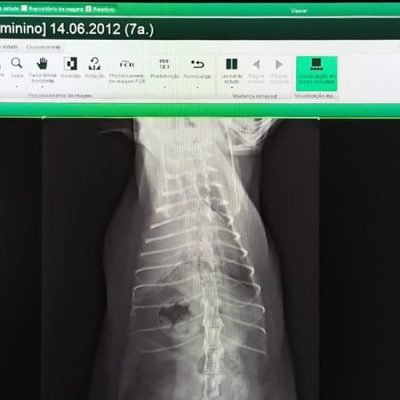 Console PRIMA - Veterinário XMedical